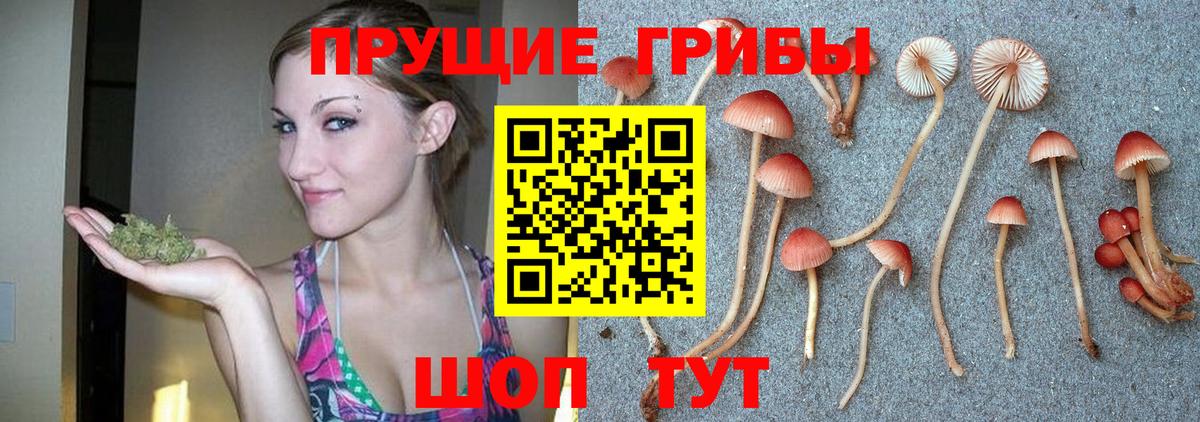 Галлюциногенные грибы Magic Shrooms Скопин