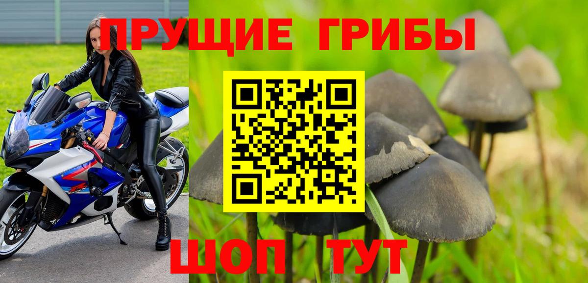 Галлюциногенные грибы Cubensis  Вход с VPN  Псилоцибиновые грибы Psilocybe  Скопин 